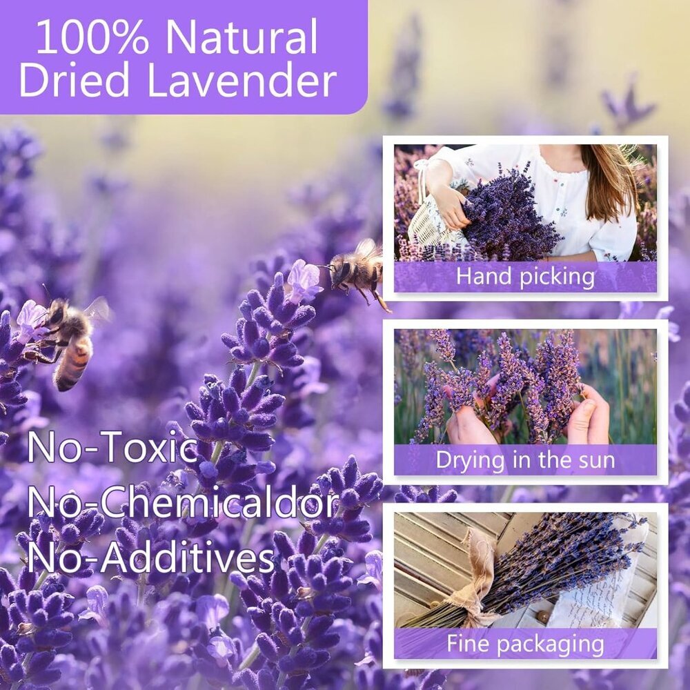 Dried Lavender Bundles, Natural Dried Lavender Flowers 280-300 Stems 16“ for Hom - Picture 4 of 9